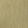 PVD Brushed High Brass
